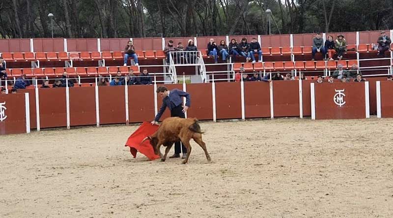 Me gusta el toreo clásico y añejo