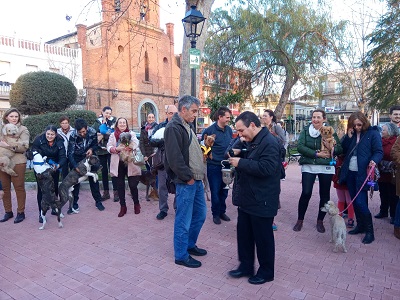 Mascotas protagonistas en la bendicin de San Antn