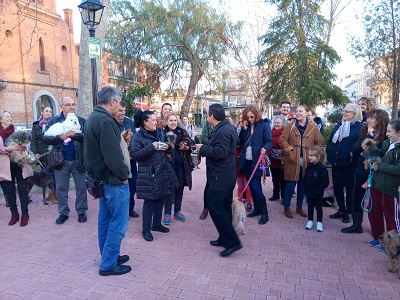Mascotas protagonistas en la bendicin de San Antn