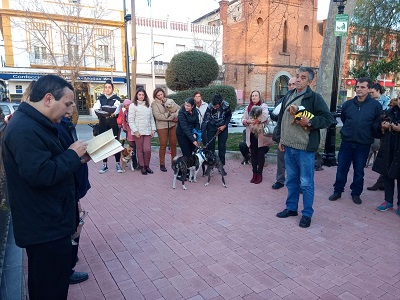 Mascotas protagonistas en la bendicin de San Antn