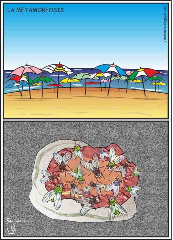 Vi�eta Oto Donaire