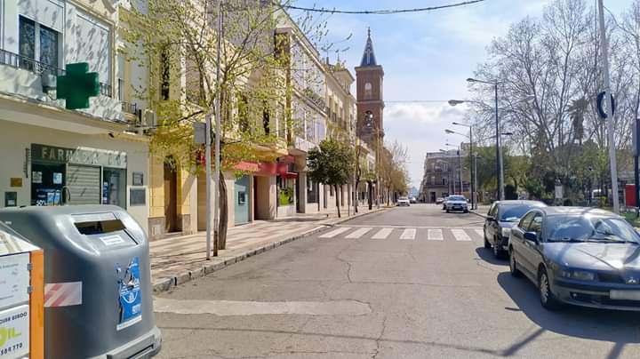 Pearroya acata el qudate en casa