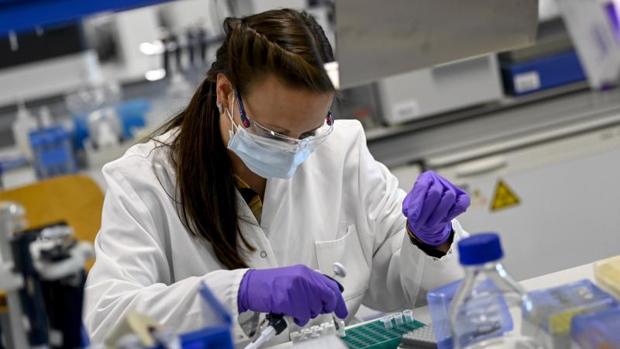 Los casos de Covid-19 en Pearroya suben a 14