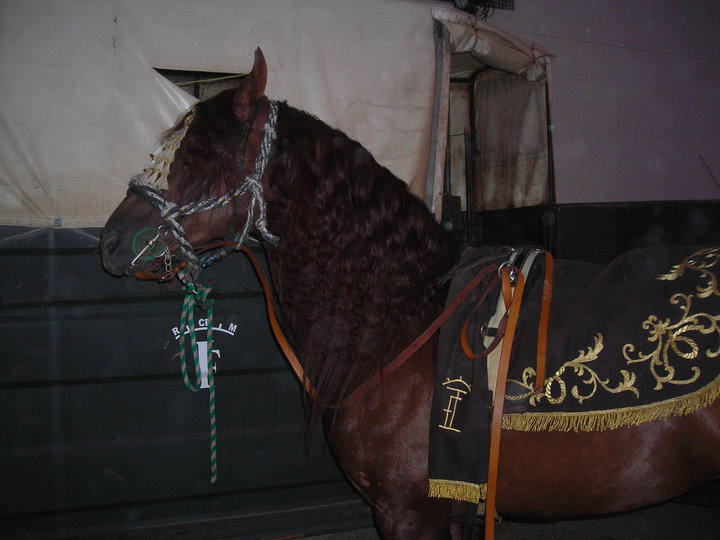 La Marisma se hizo presente en Belmez