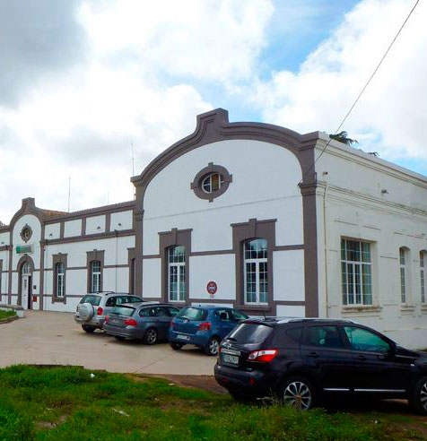 Vacunacin contra la gripe