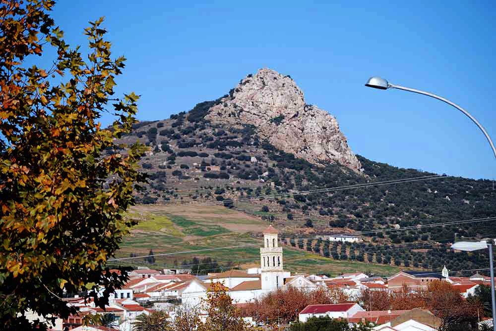 Ningn caso activo de Covid-19