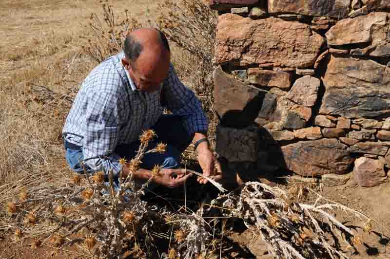 Ventura Madueo, agricultor y ganadero del Guadiato