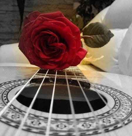 INMEMORIAM…su recuerdo será perenne