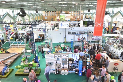 Suspendida edicin de 2021