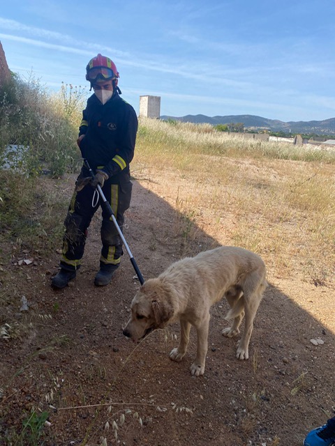 Rescatan a un perro atrapado