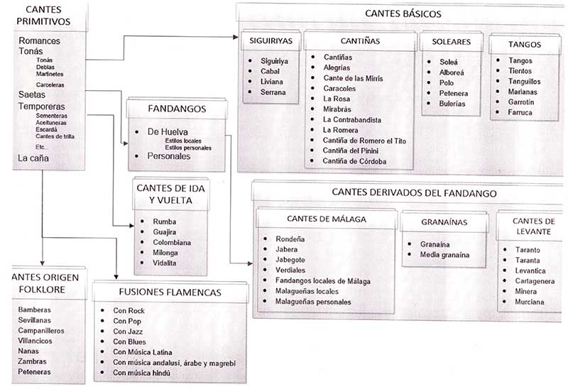 rbol genealgico del flamenco