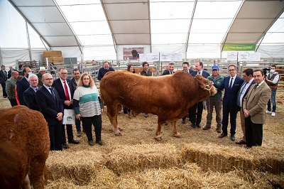 Feria Agroganadera y Agroalimentaria de Los Pedroches