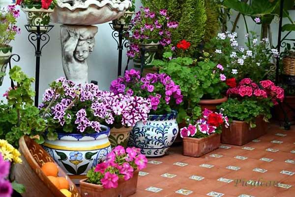 Patio de Pearroya-Pueblonuevo galardonado