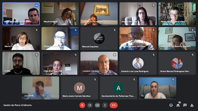 Sesin telemtica del pleno