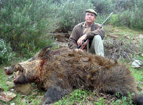 Espectacular montera 