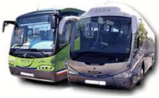 Supresi�n de l�neas de autob�s