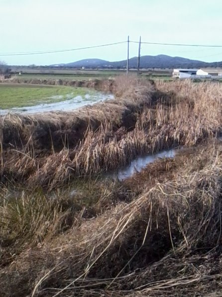 carreteras afectadas por el temporal 