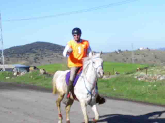 II Raid H�pico Internacional Valle del Guadiato