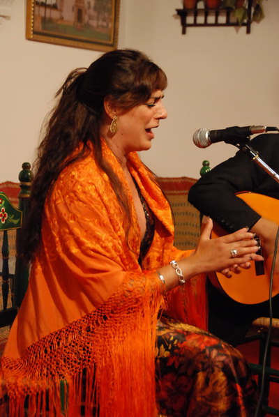 Queremos acercar el flamenco a la poblaci�n