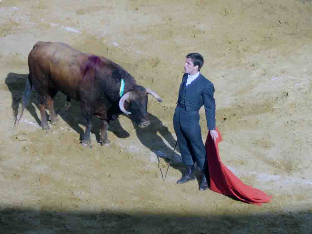 Exitoso festival a beneficio de Amagua