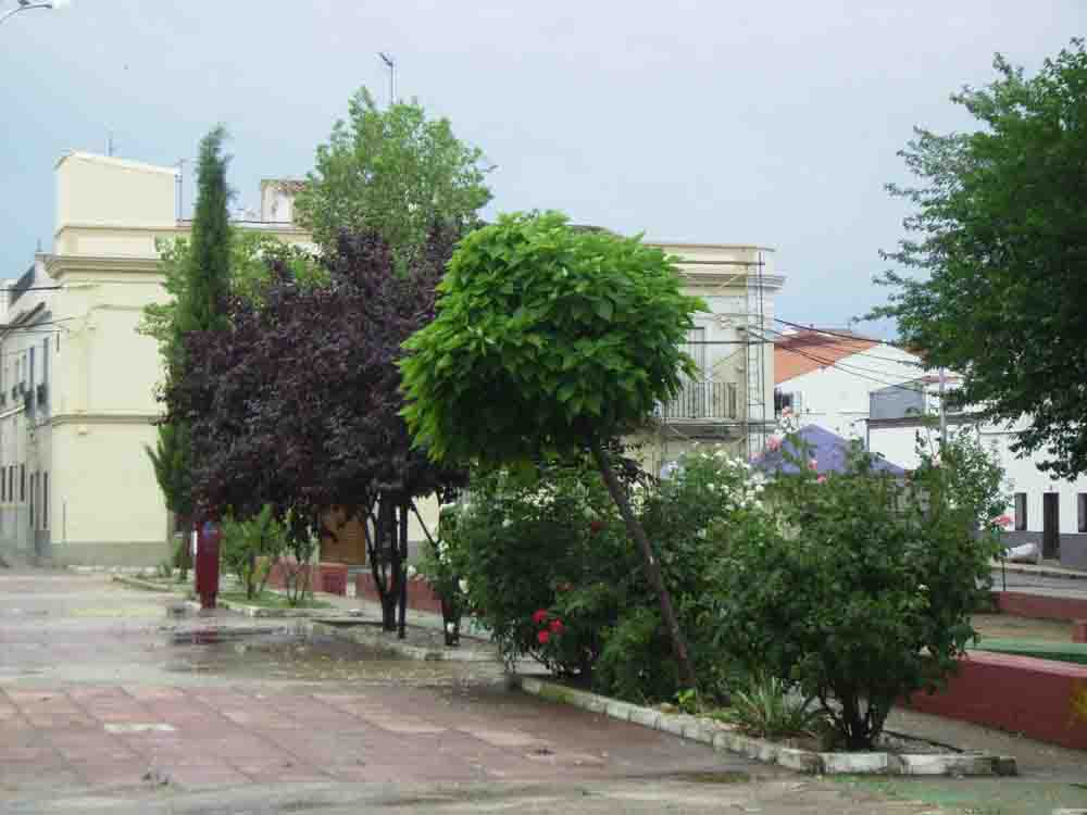 Inundaciones en varios municipios del Guadiato