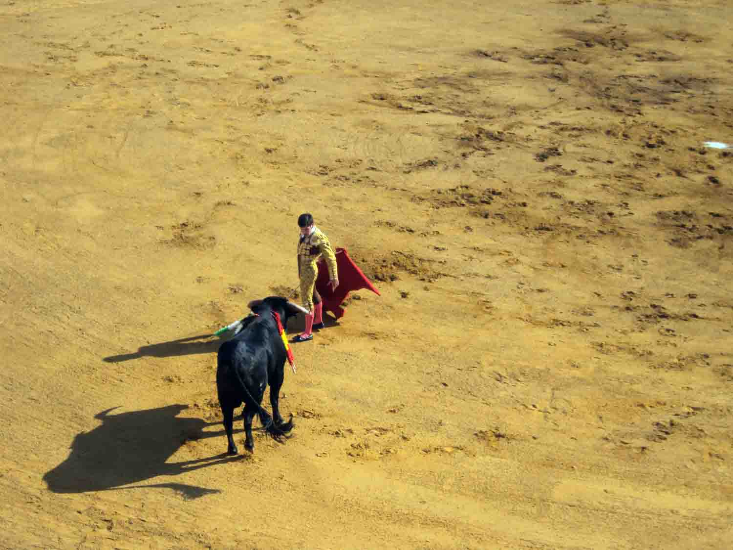 Novillada de las escuelas taurinas en belmez