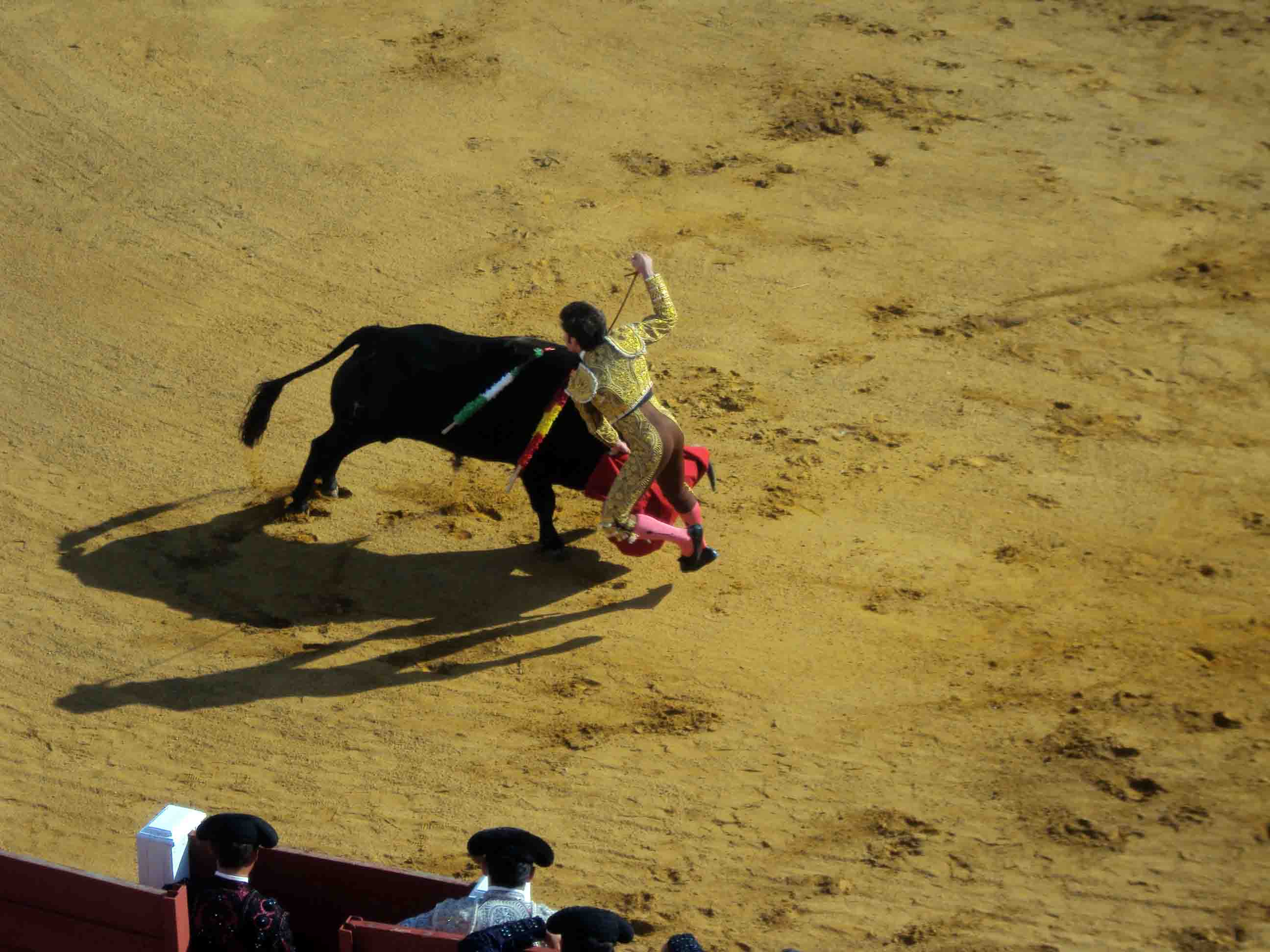 Novillada de las escuelas taurinas en belmez