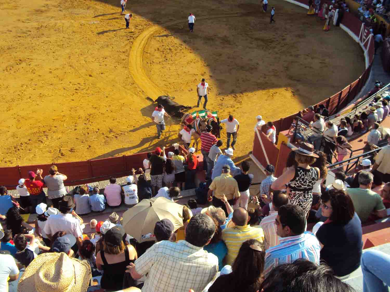 Novillada de las escuelas taurinas en belmez