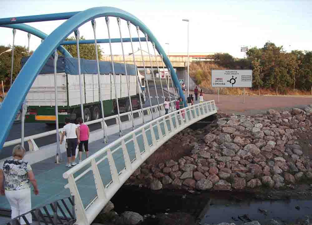 El Consejo Local de Participaci�n Ciudadana 