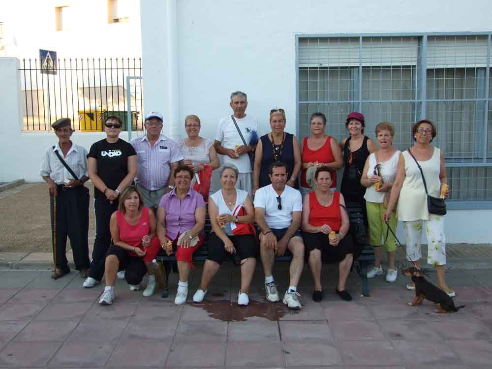 El Consejo Local de Participaci�n Ciudadana 