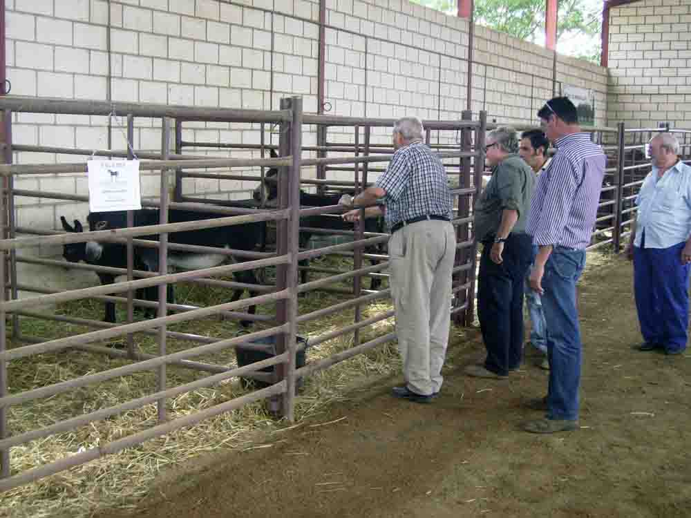 Este a�o vig�simo novena edici�n de FAGA