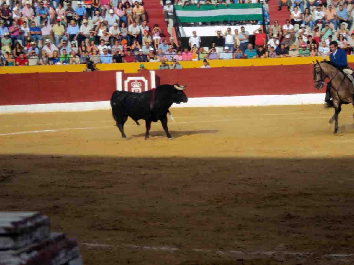 Corrida de toros en Belmez