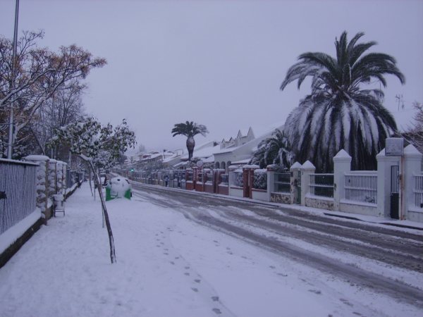 Nieve 13
