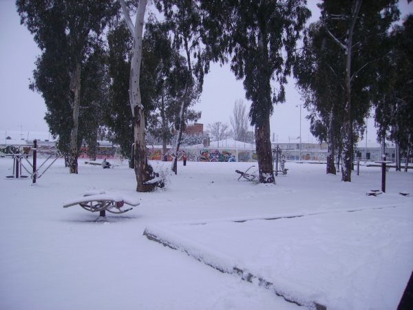 Nieve 11