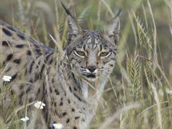 Dos a�os de c�rcel y dos millones de multa 