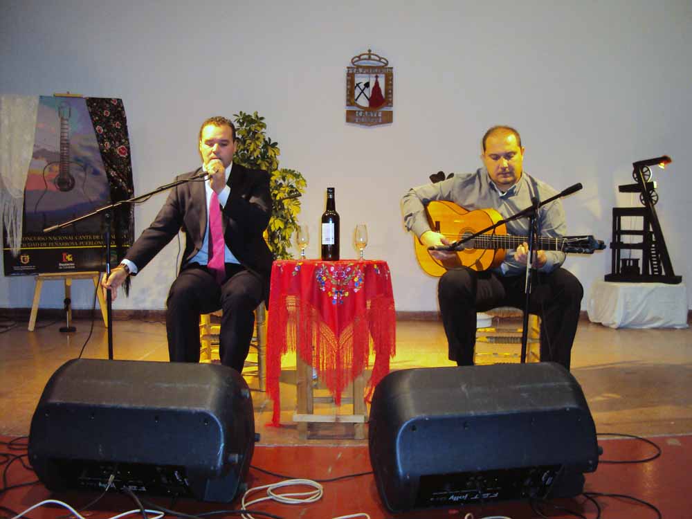 XXIX edici�n del Concurso Nacional de Cante de las Minas