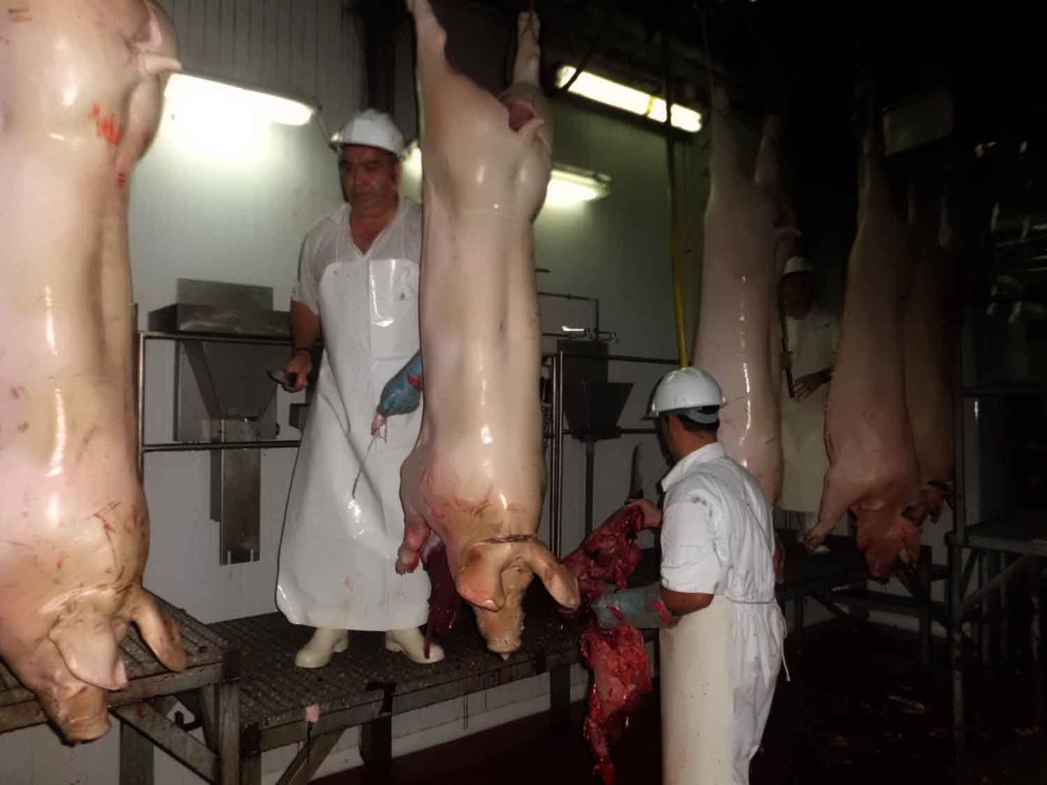 Matadero municipal de Pe�arroya