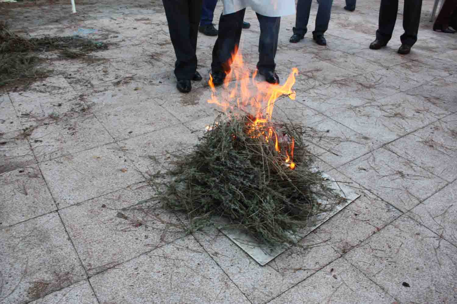 D�a de los Tomillos en la Casa de C�rdoba en Madrid