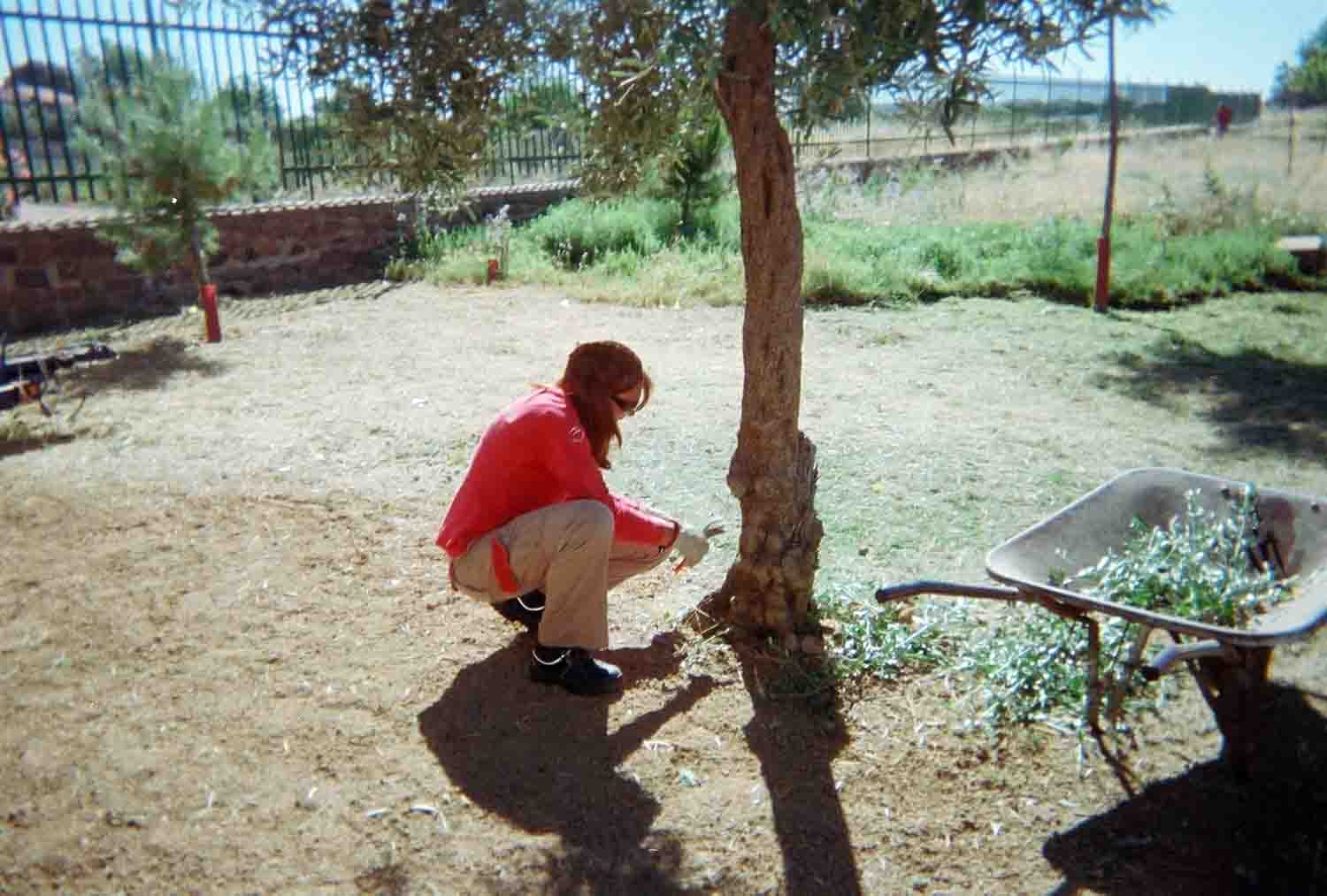 Adecentamiento de Edificios y Parques y Jardines P�blicos