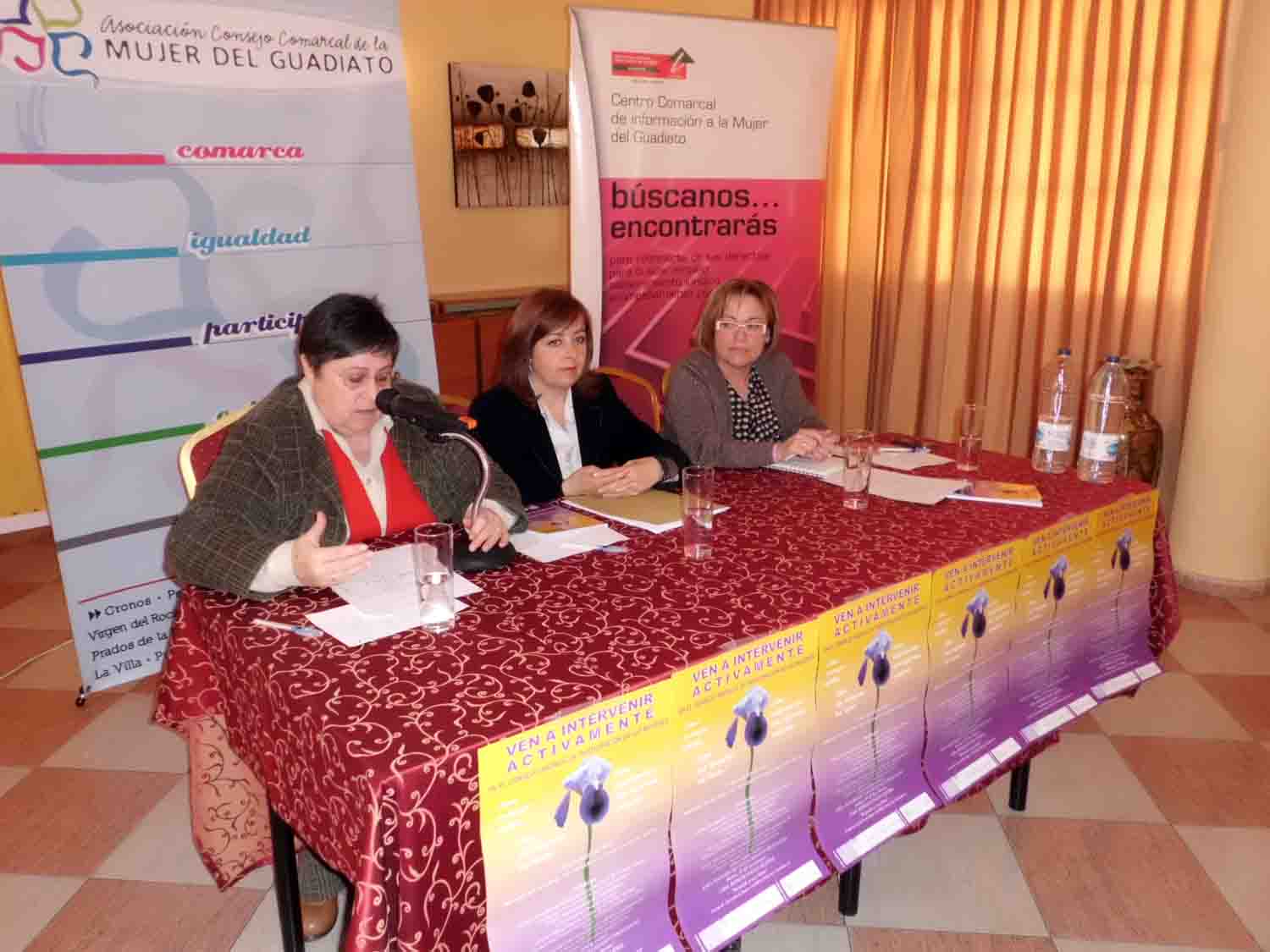 Consejo Andaluz  de participacin  de las mujeres 