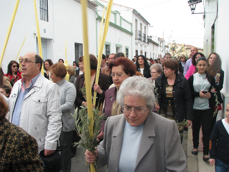 Domingo de Ramos,