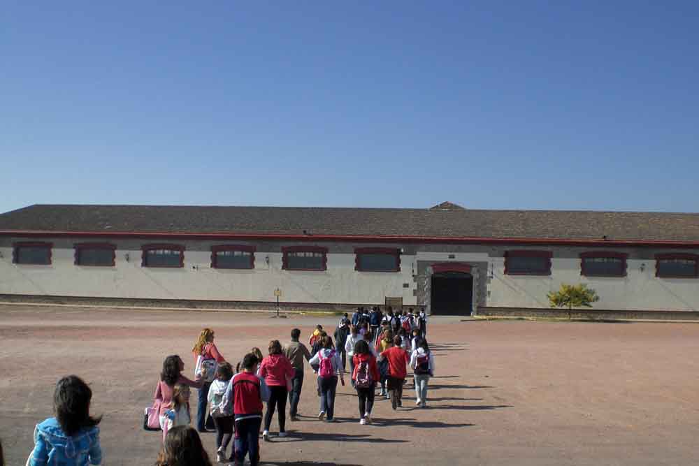 Actividades en el C.E.I.P. San Jos� de Calasanz 