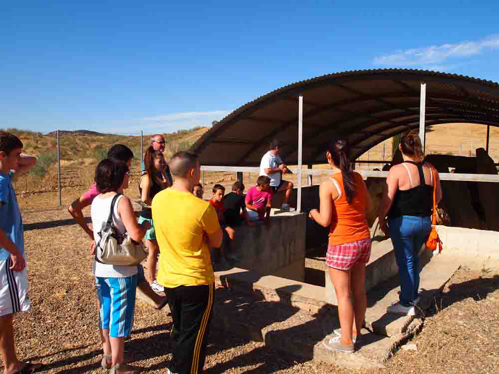   Visitas tur�sticas a belmezanos ausentes