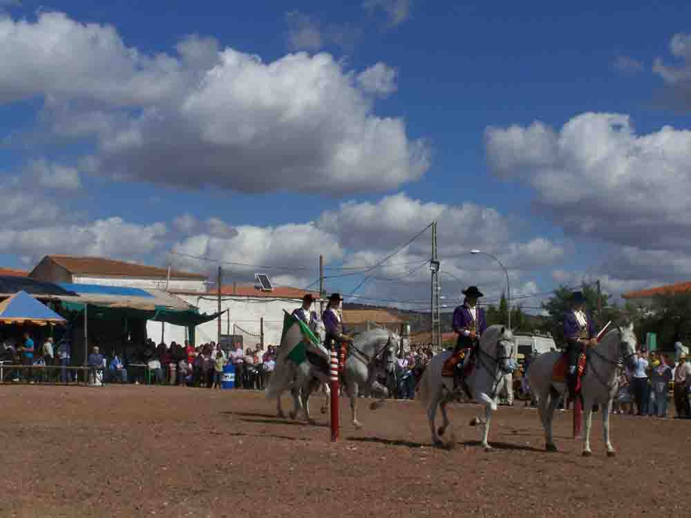 Actividades ecuestres