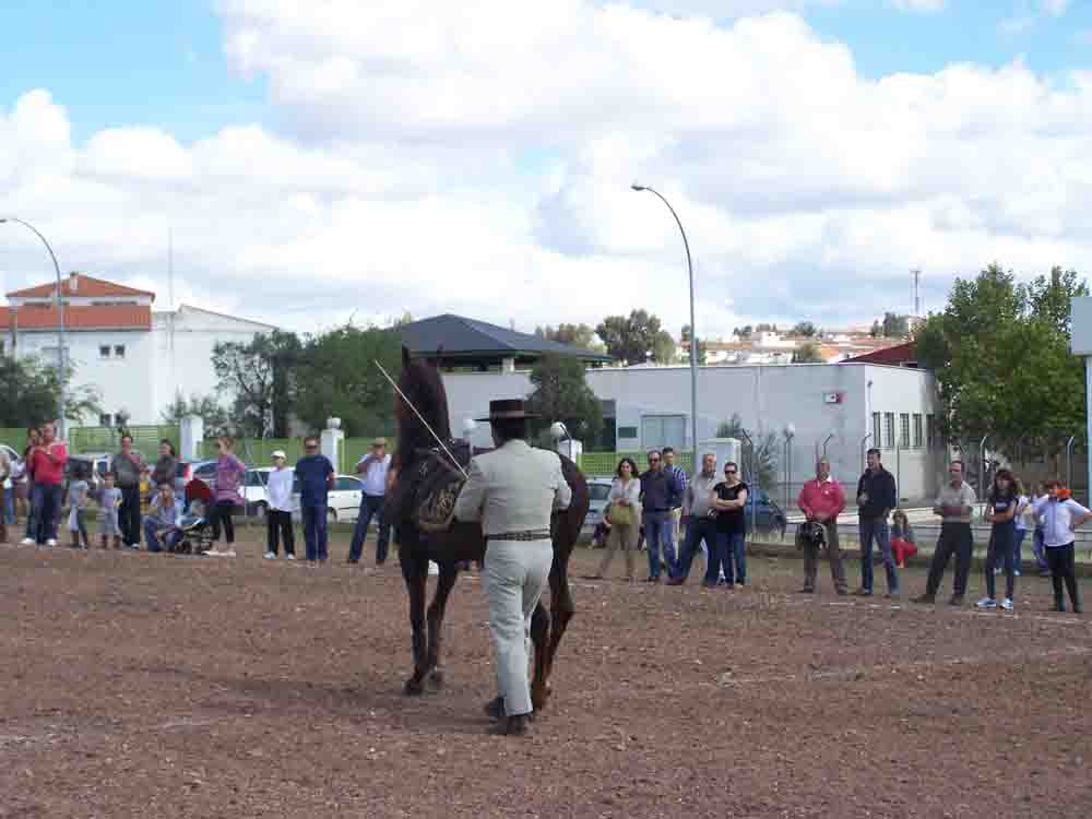 Actividades ecuestres