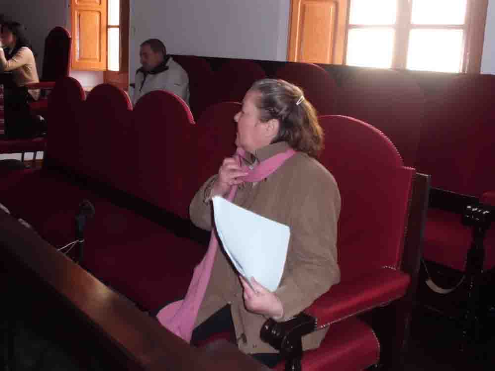 Ana Hernando muestra su indignacin en el Pleno