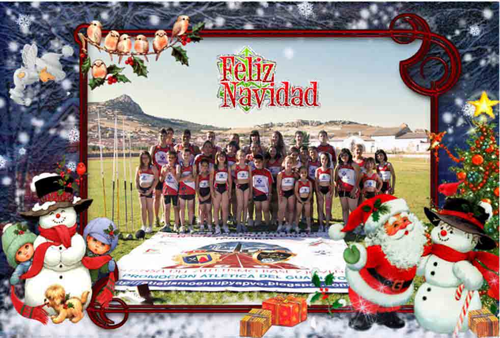 Felicitacin Navidea