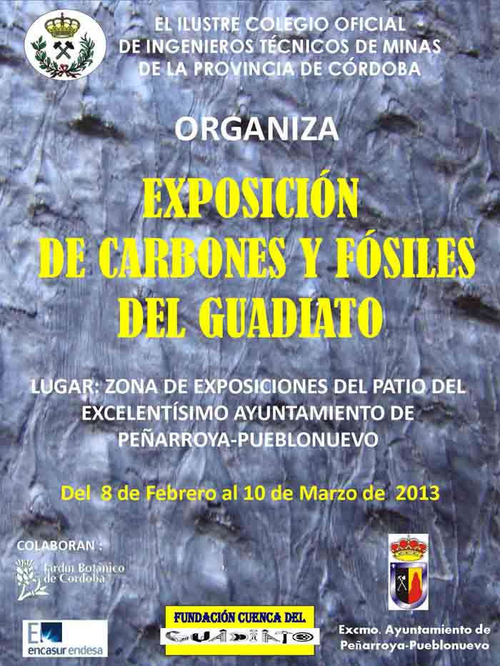 Exposicin de Carbones y Fsiles del Guadiato