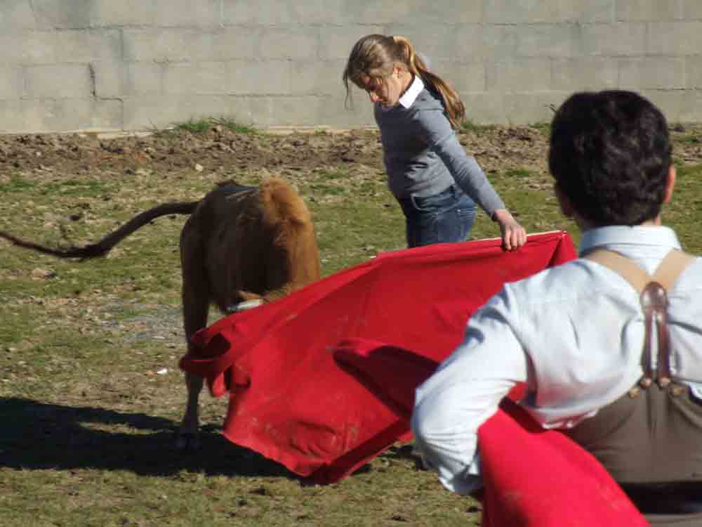 Acontecimiento taurino en Aguas Vivas