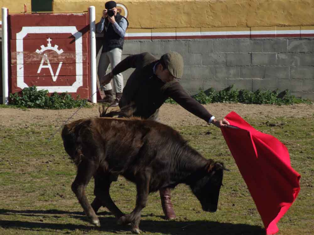 Acontecimiento taurino en Aguas Vivas